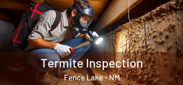 Termite Inspection Fence Lake - NM