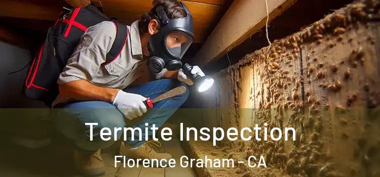  Termite Inspection Florence Graham - CA