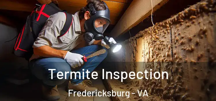  Termite Inspection Fredericksburg - VA