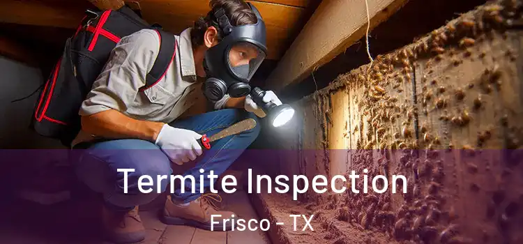  Termite Inspection Frisco - TX