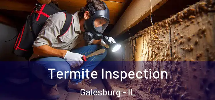 Termite Inspection Galesburg - IL