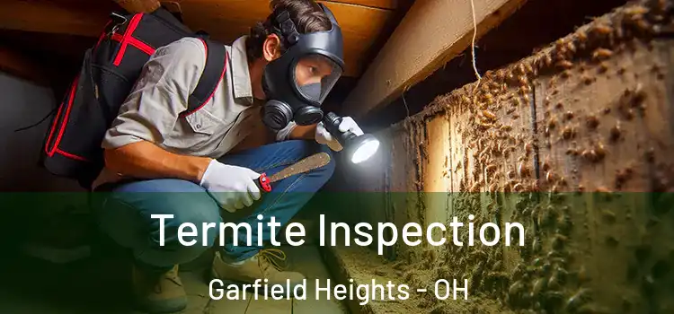 Termite Inspection Garfield Heights - OH