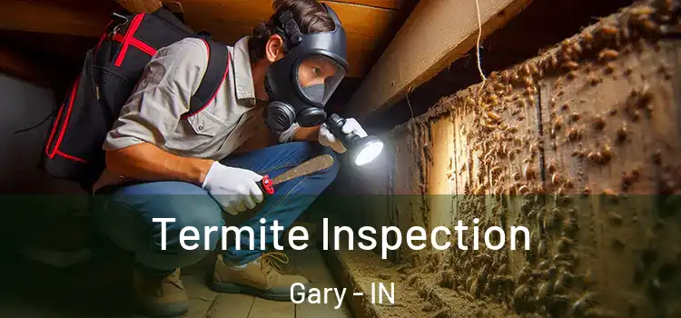  Termite Inspection Gary - IN