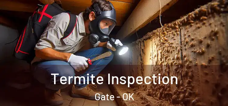  Termite Inspection Gate - OK
