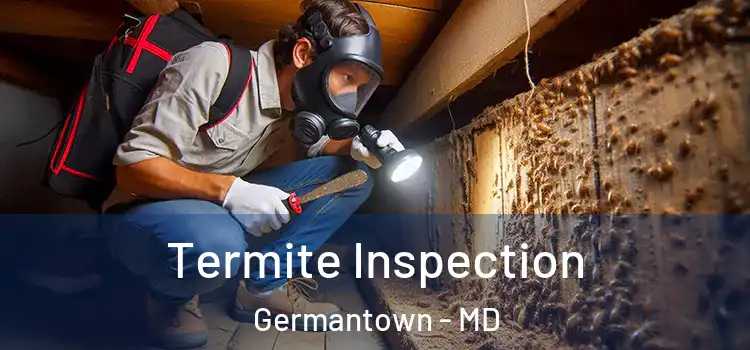  Termite Inspection Germantown - MD