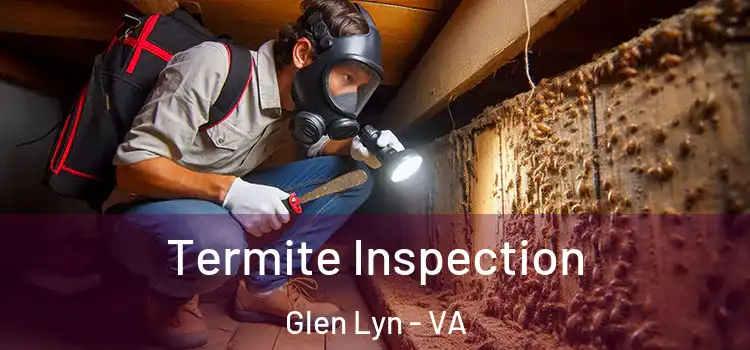  Termite Inspection Glen Lyn - VA