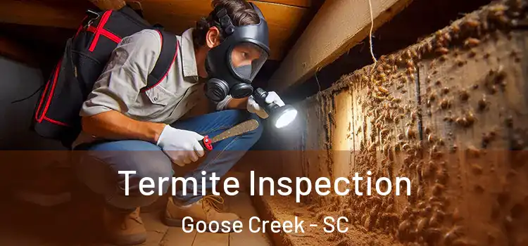  Termite Inspection Goose Creek - SC