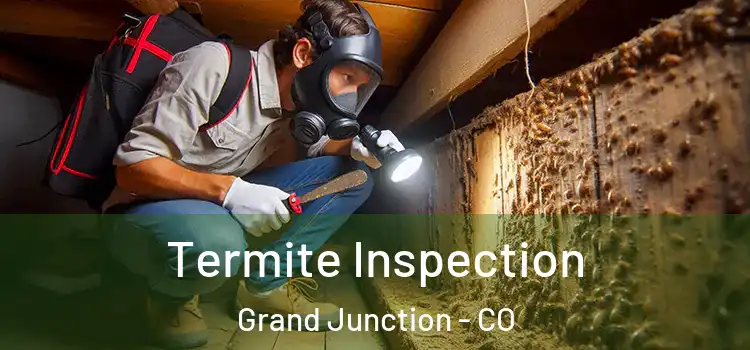  Termite Inspection Grand Junction - CO