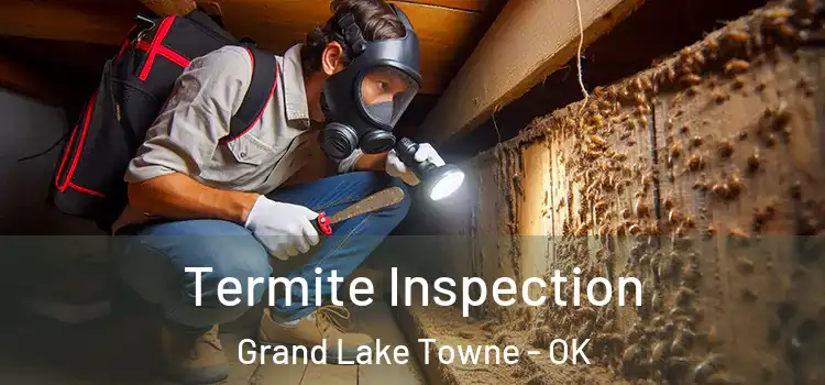  Termite Inspection Grand Lake Towne - OK
