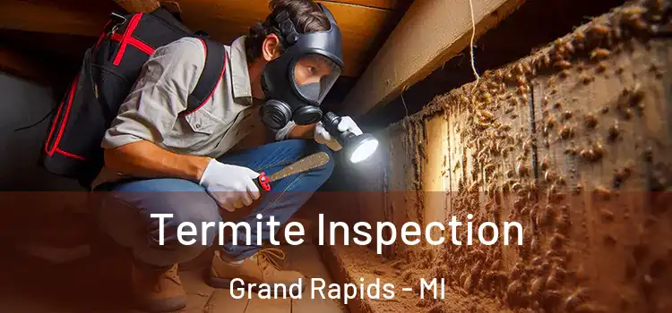  Termite Inspection Grand Rapids - MI