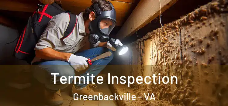  Termite Inspection Greenbackville - VA