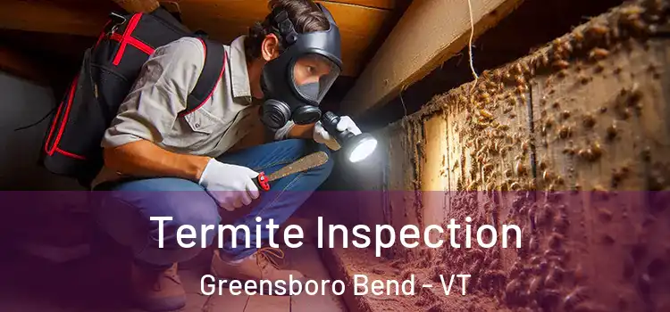  Termite Inspection Greensboro Bend - VT