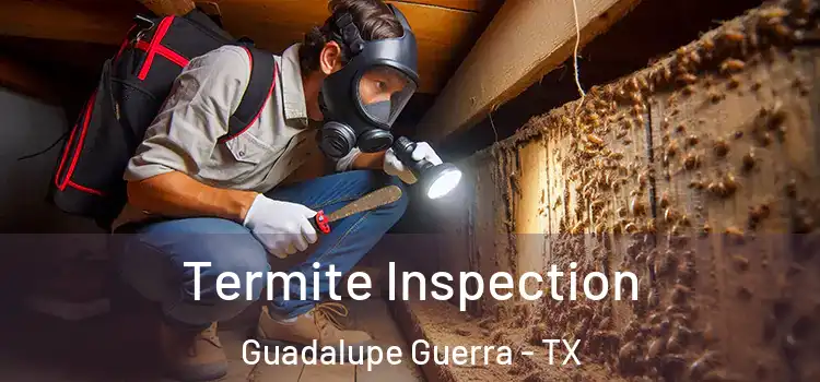  Termite Inspection Guadalupe Guerra - TX