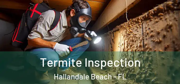  Termite Inspection Hallandale Beach - FL