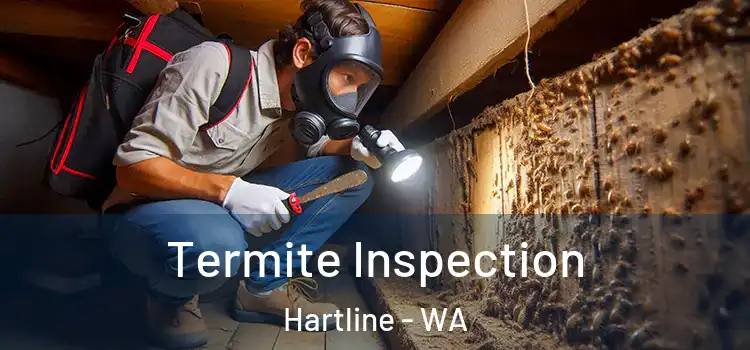  Termite Inspection Hartline - WA