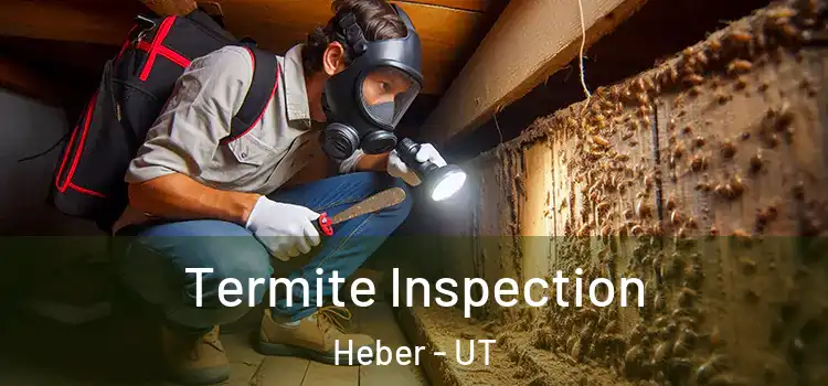 Termite Inspection Heber - UT