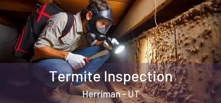  Termite Inspection Herriman - UT