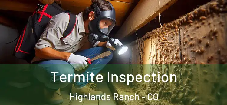  Termite Inspection Highlands Ranch - CO