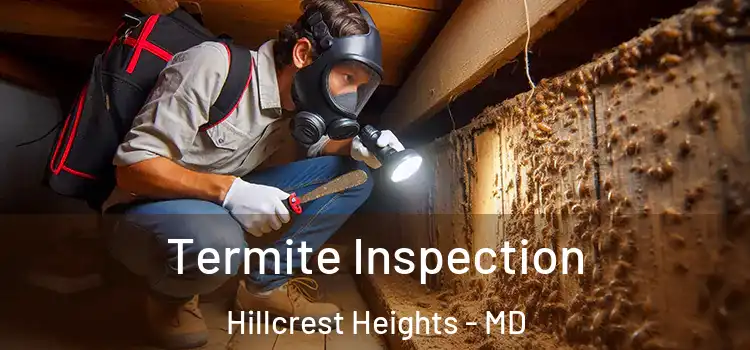  Termite Inspection Hillcrest Heights - MD