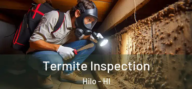  Termite Inspection Hilo - HI