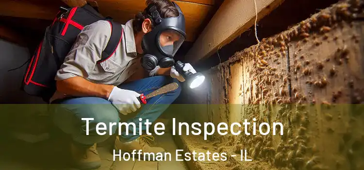  Termite Inspection Hoffman Estates - IL