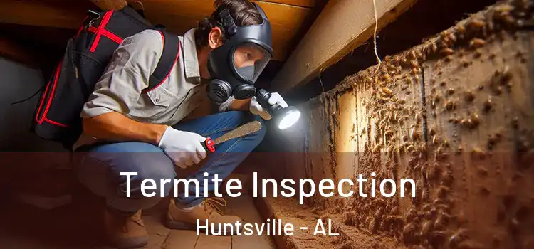 Termite Inspection Huntsville - AL