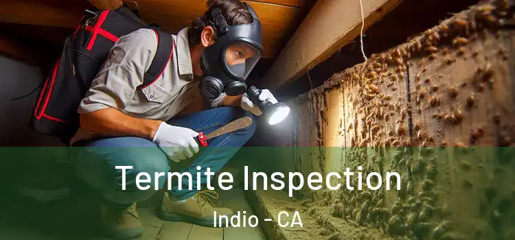 Termite Inspection Indio - CA