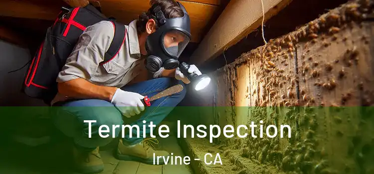  Termite Inspection Irvine - CA