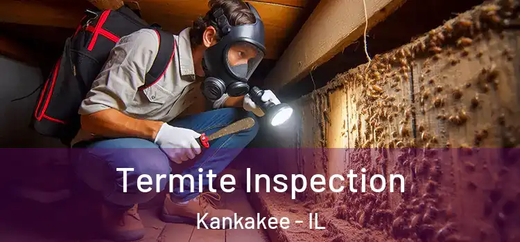  Termite Inspection Kankakee - IL
