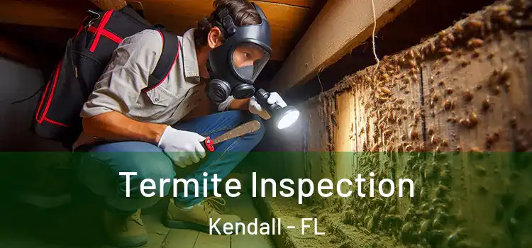  Termite Inspection Kendall - FL
