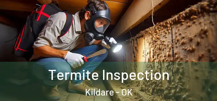  Termite Inspection Kildare - OK