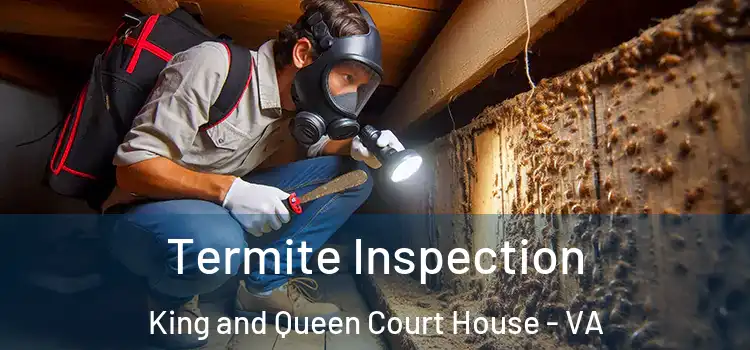  Termite Inspection King and Queen Court House - VA