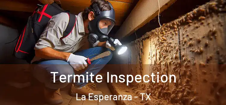  Termite Inspection La Esperanza - TX
