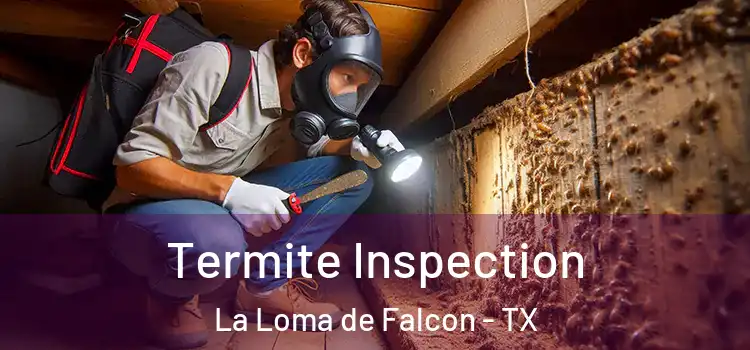  Termite Inspection La Loma de Falcon - TX
