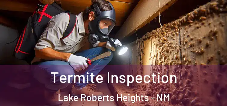 Termite Inspection Lake Roberts Heights - NM