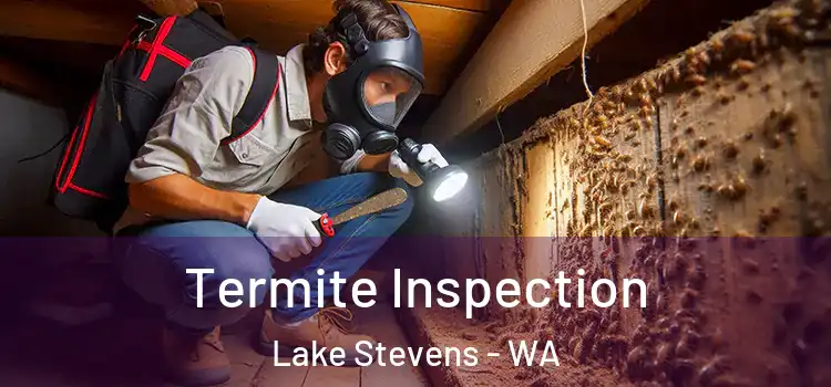  Termite Inspection Lake Stevens - WA