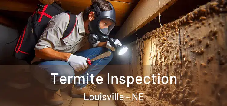  Termite Inspection Louisville - NE