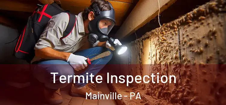  Termite Inspection Mainville - PA