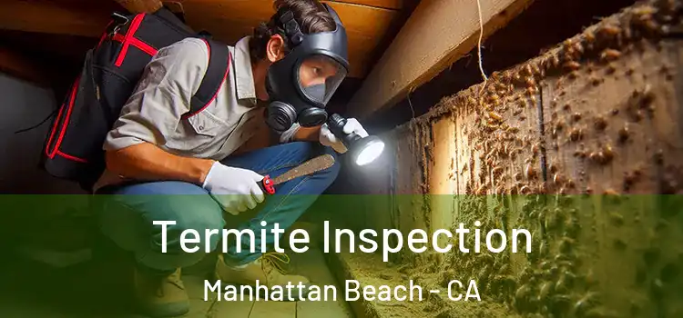  Termite Inspection Manhattan Beach - CA