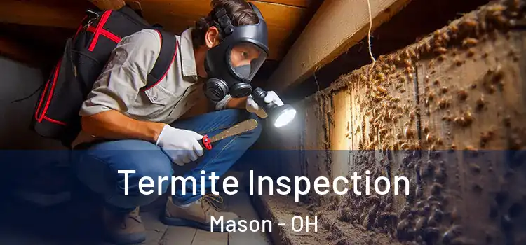  Termite Inspection Mason - OH