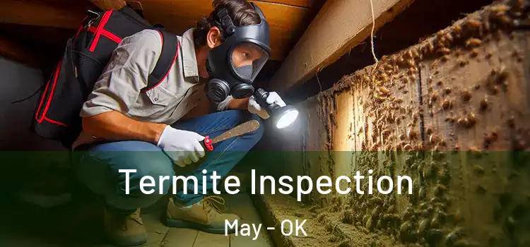  Termite Inspection May - OK