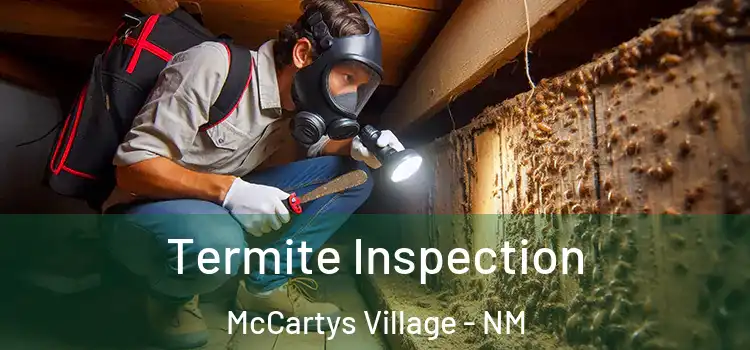  Termite Inspection McCartys Village - NM