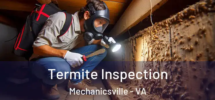  Termite Inspection Mechanicsville - VA