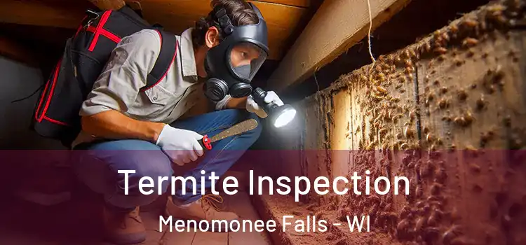  Termite Inspection Menomonee Falls - WI