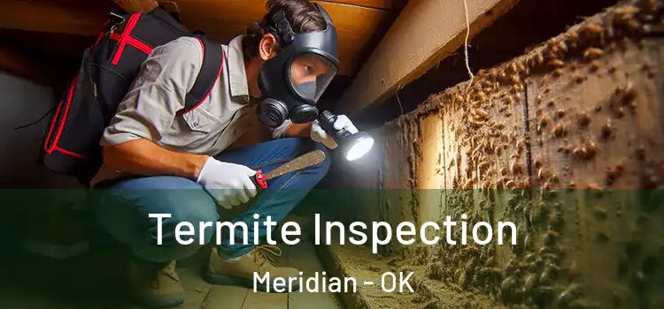  Termite Inspection Meridian - OK