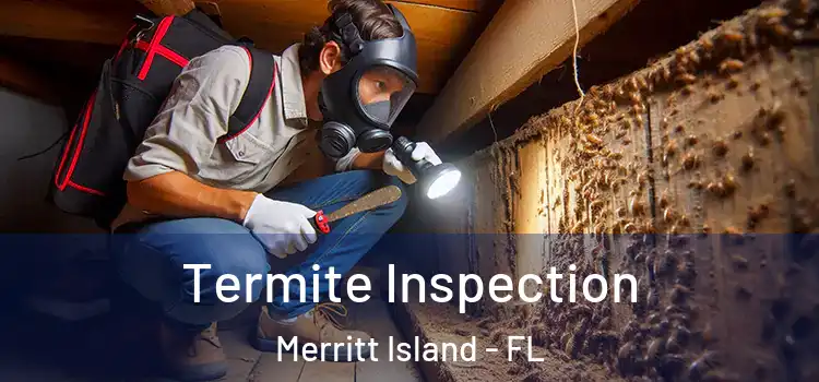  Termite Inspection Merritt Island - FL