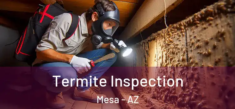 Termite Inspection Mesa - AZ