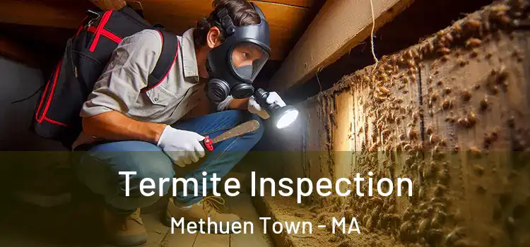  Termite Inspection Methuen Town - MA