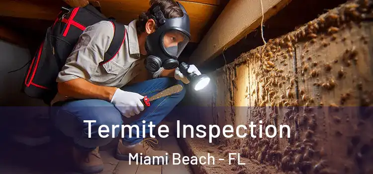  Termite Inspection Miami Beach - FL