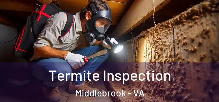 Termite Inspection Middlebrook - VA